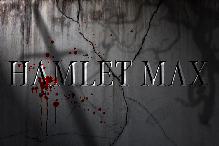 Hamlet Max - Title Graphic